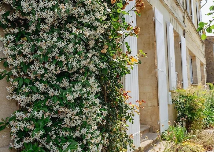 Ferienhaus Maison De Charme En Bord De Garonne A 15 Min From Bordeaux